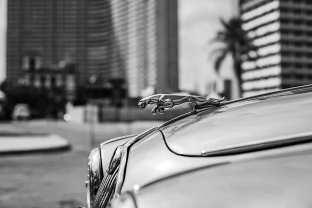 Kazoom Kasino Android/iOS aplikacija